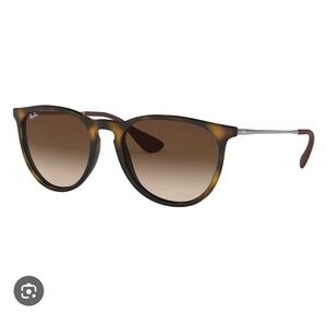 Erika Ray-Ban Tortoise Sunglasses with Brown Lenses
